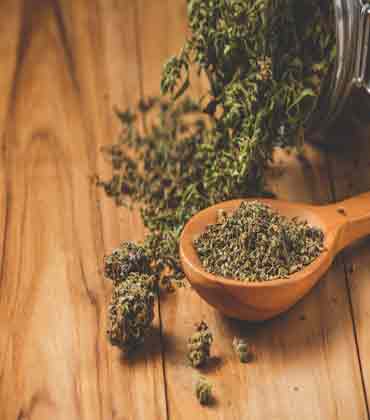 Amit Edri, Portocanna | Cannabis Business Insights | Featured Vendors (October - December)