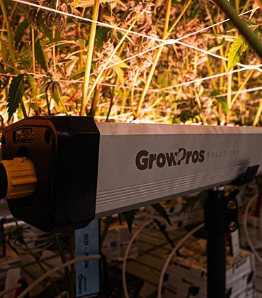 Chuck McKenrick, Grow Pros Solutions | Cannabis Business Insights | Under Canopy Light Solution Of The Year