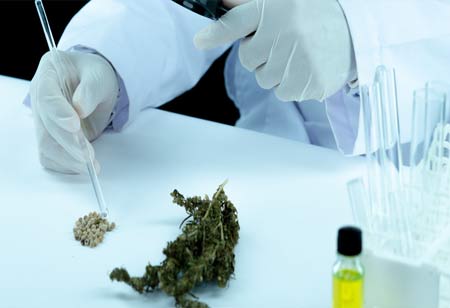  Karl Long, Executive Director, Risk/Health Safety Environmental, Trulieve | Cannabis Business Insights 