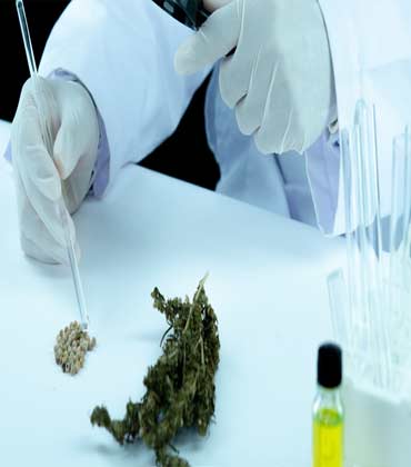 Karl Long, Executive Director, Risk/Health Safety Environmental, Trulieve | Cannabis Business Insights