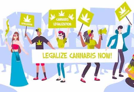 Impact of Cannabis Legalization on Transport