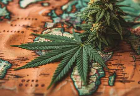 Transport Impacts of Cannabis Legalization