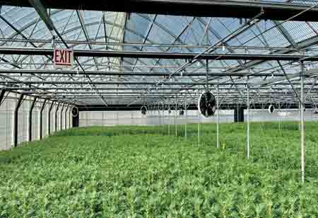 White Glove Logistics Shaping Canada's Cannabis Supply Chain