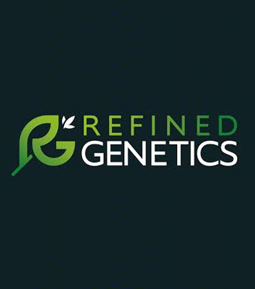 George Workman, Refined Genetics | Cannabis Business Insights | Top Cannabis Genetic Development Service