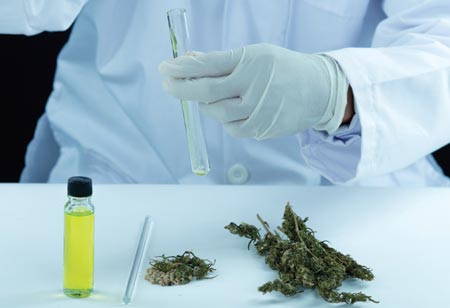 Importance of Accreditation for Cannabis Testing Laboratories  