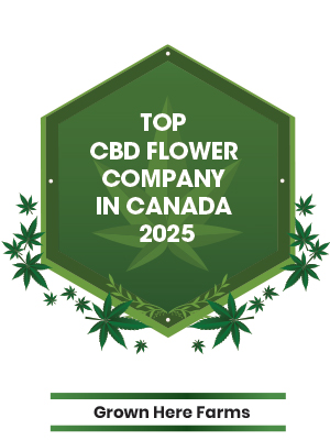 Top CBD Flower Company in Canada 2025